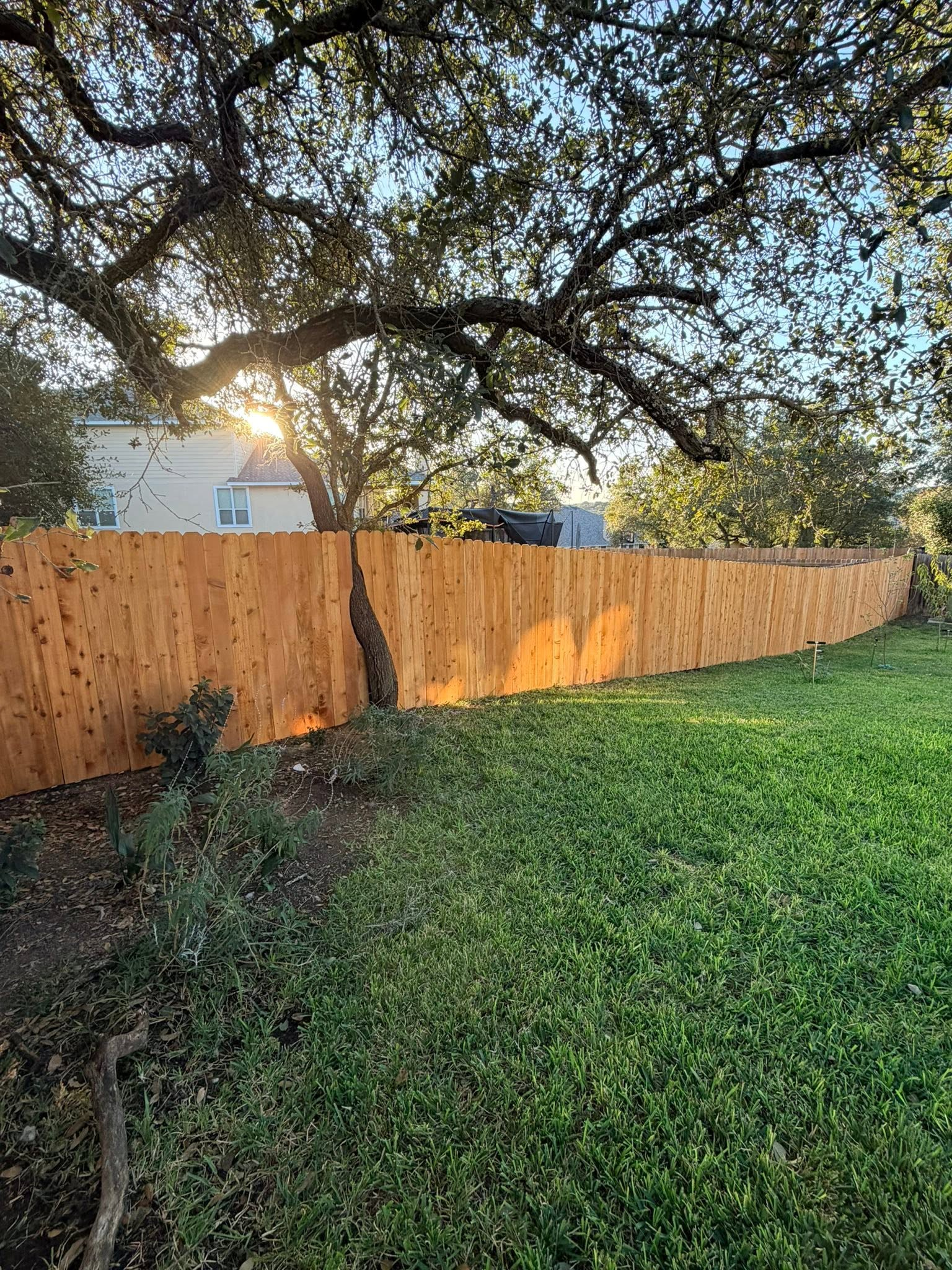 Cedar & Privacy Fencing